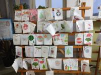 bWhatsApp Image 2025-12-18 ati 08.25.30.jpg